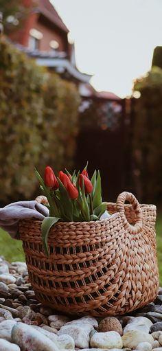 a basket with flowers in it sitting on some rocks