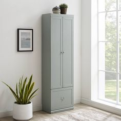 a tall cabinet sitting next to a potted plant