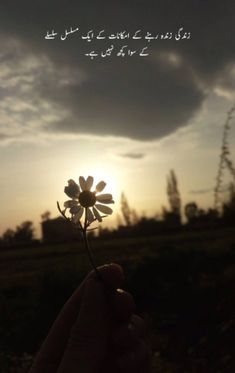 someone holding a flower in their hand with the sun setting behind them and clouds overhead