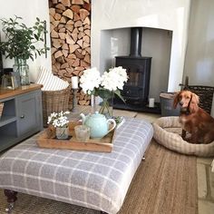 a dog sitting on a bed in front of a fire place with flowers and teapots