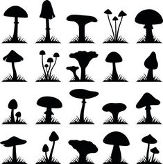 various silhouettes of mushrooms and grass