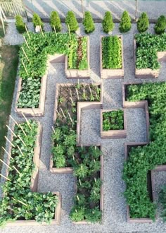 an aerial view of a garden with many different types of plants in the center and on each side