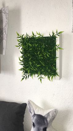 an animal head sitting on top of a pillow in front of a wall mounted plant