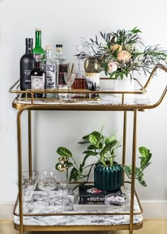 a bar cart filled with liquor bottles and glasses next to a potted plant on top of a marble counter