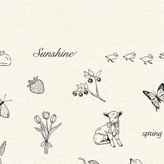 the words sunshine are written in black ink on a white background with flowers and animals