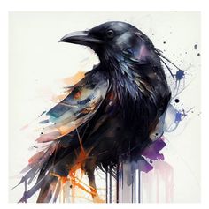 a painting of a black bird with orange and blue splots on it's wings