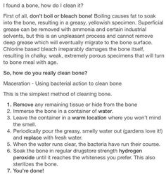 the instructions for how to clean your bones