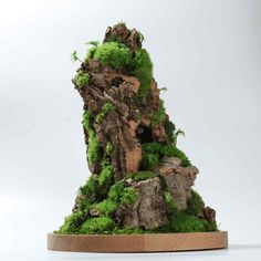 a sculpture made out of moss and rocks on a wooden base with a white background