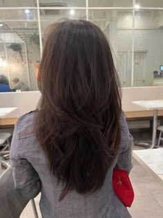 V Layers Haircut, Layered Triangle Haircut, Medium Layered Hair V Shape, Back Length Hair With Layers, Long Layers Haircut Unstyled, Long Layered Thick Hair Straight, Asian Layered Hair Straight, U Shaped Haircut With Long Layers, Straight Hair W Layers