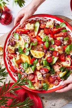 two hands holding a red bowl filled with salad