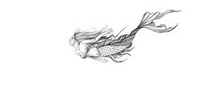 a black and white drawing of a fish with long hair flying through the air on a white background