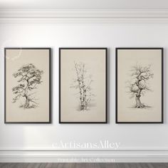 three framed art prints hanging on the wall in an empty room with wood flooring