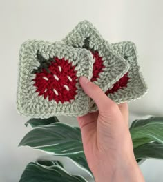 someone is holding up two crocheted coasters in front of a green plant