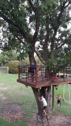 two children climbing up the side of a tree to get on top of a ladder