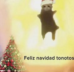 a cat in a santa hat flying over a christmas tree with the caption feliz navidad tonotos