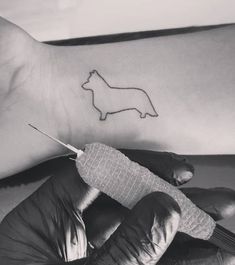 a small dog tattoo on the left side of the arm, with a needle in it