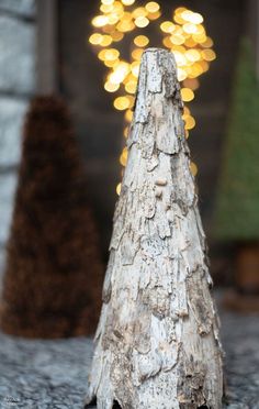 a close up of a tree stump with lights in the background