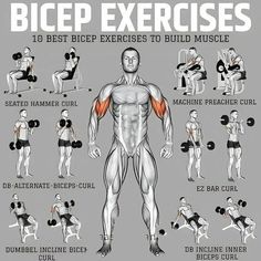 Shoulder And Bicep Workout, Mens Bicep Workout, Bicep Workout Gym, Biceps Workout At Home, Biceps Exercises, Big Biceps Workout, Pull Day Workout, Pull Day, Bicep Exercises