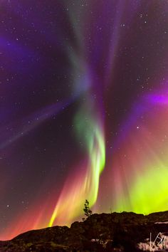 the aurora bore is visible in the sky above some snow covered ground with trees and rocks