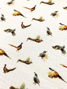 a flock of birds flying across a white sky filled with lots of different colored feathers