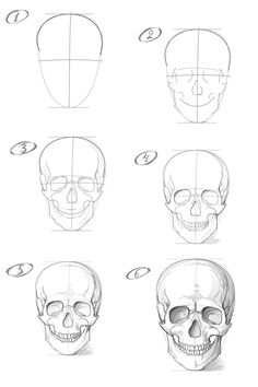 how to draw a skull with different angles