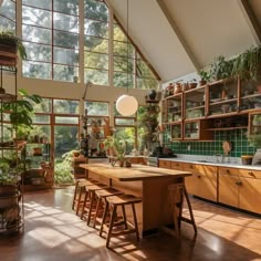 a kitchen with lots of plants in it