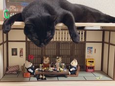 a black cat laying on top of a doll house