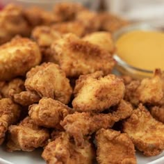 fried food on a plate with dipping sauce