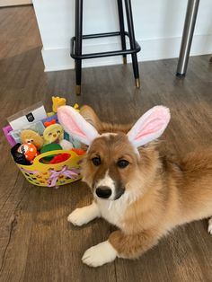 Corgi Easter basket puppy dog treats toys Doggy Easter Basket, Easter Basket For Dogs, Puppy Easter Basket, Easter Dog Treats, Dog Easter Basket, Dog Easter, Creative Easter Baskets, Puppy Ideas