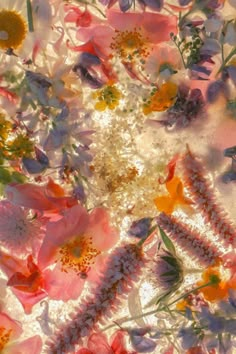 an image of flowers that are floating in the water