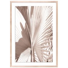 a black and white photo of a palm tree leaf in sepia toned light, framed in wood