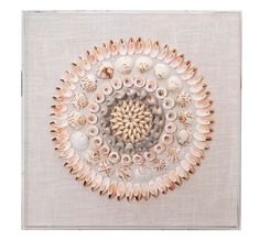 an overhead view of seashells and shells arranged in a circle on a white background