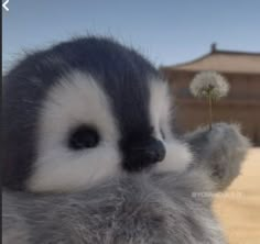 a close up of a stuffed animal with a dandelion in it's mouth