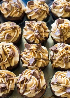 chocolate cupcakes with peanut butter frosting and drizzled on top