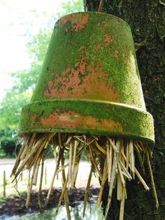 an old rusted metal bucket hanging from a tree