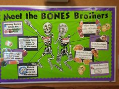 a bulletin board with skeletons and bones on it