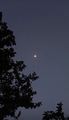 the moon is seen through some trees in the night sky with only one light visible