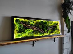 a television mounted on a wall above a shelf with moss and trees in the background