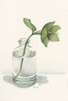 a watercolor painting of a flower in a glass vase with water on the table