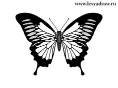 a black and white butterfly silhouetted on a white background with the words lesygada