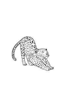 a black and white drawing of a cheetah