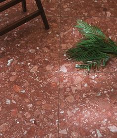 a small pine tree sitting on top of a red marble floor next to a chair