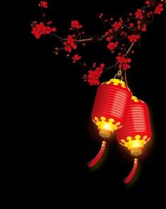 two red lanterns hanging from a tree branch