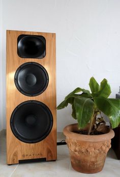 a wooden speaker sitting next to a potted plant