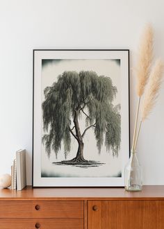 a tree is shown in front of a white wall and some books on a dresser