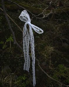 a white piece of string hanging from a tree