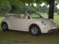 a white convertible car parked under a tree in the grass next to a park area