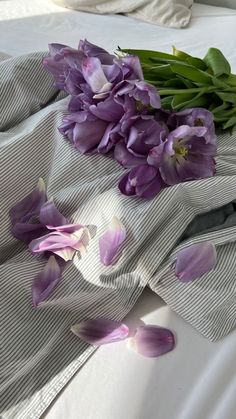 Violet Aesthetic, Wallpaper Iphone Boho, Lavender Aesthetic, Lovely Flowers Wallpaper, Purple Themes, Purple Tulips