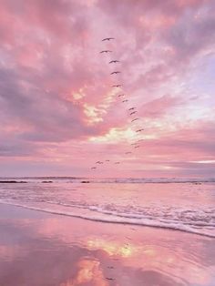 a flock of birds flying over the ocean under a pink sky at sunset or sunrise