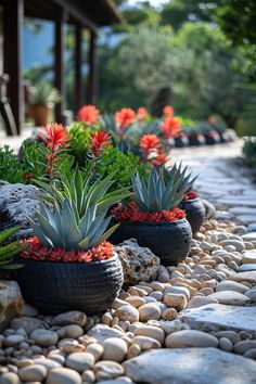 there are many plants that are in these pots on the rocks and gravel road side